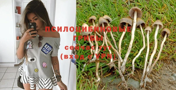 ешки Абаза